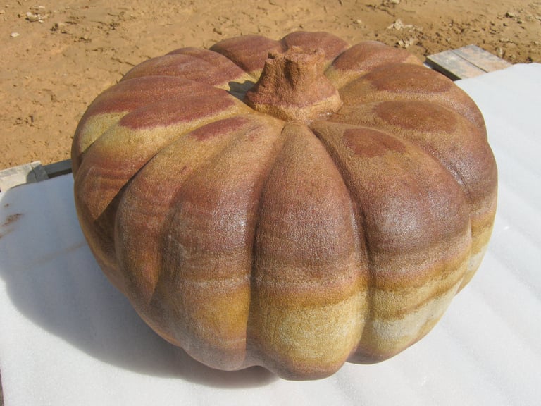 Large ribbed pumpkin with golden-brown coloring on sandy ground
